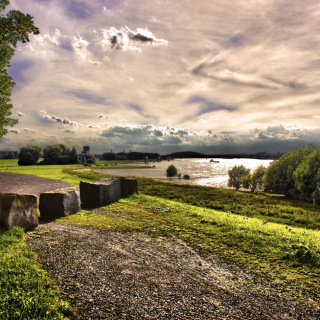 Rheinlicht Rheinlicht