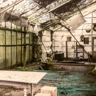 Gewächshaus ohne Gewächs Gewächshaus ohne Gewächs