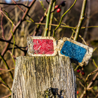 Natur in 3D Natur in 3D