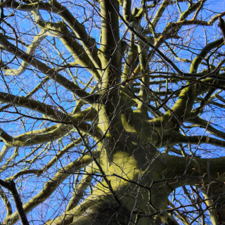 Die Räder stehen still Blau Grün