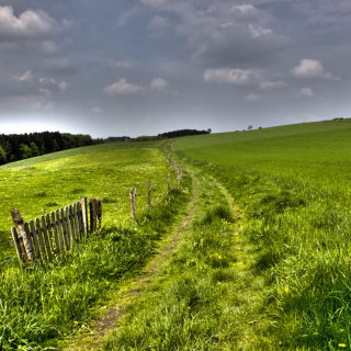 Weg durch die Wiese Weg durch die Wiese