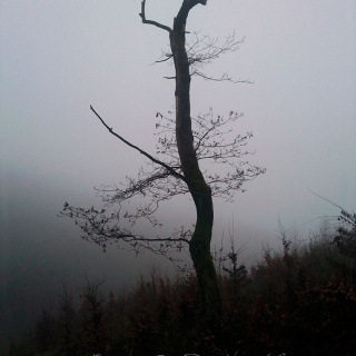 Caspar David Kyrill Caspar David Kyrill